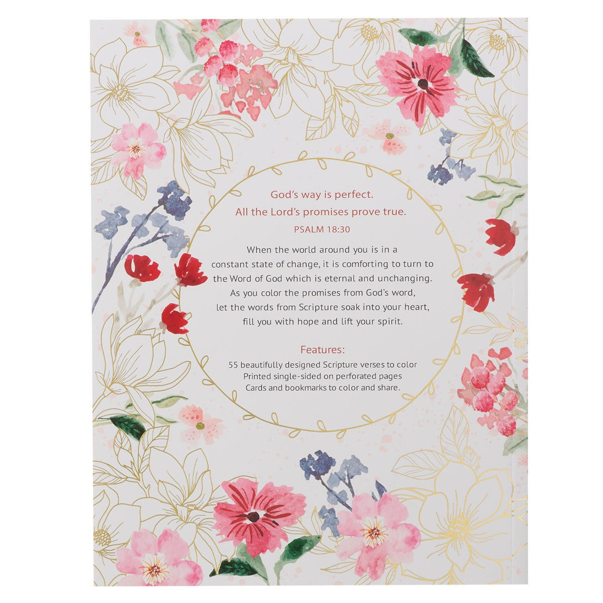 Colour the Promises of God Colouring Book